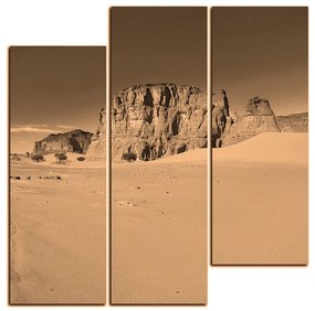Obraz na plátne - Cesta v púšti - štvorec 3129FD (105x105 cm)