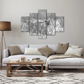 Obraz - Lišiak, čiernobiela (150x105 cm)