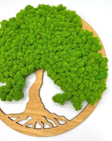 Strom na stenu z machu Melusine 50 cm