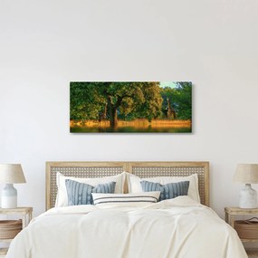 Obraz žirafy v prírode (120x50 cm)
