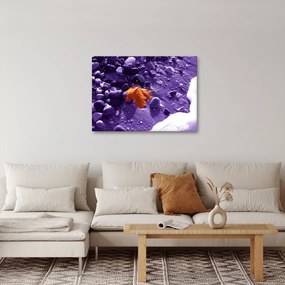 Obraz - Morská pláž (70x50 cm)