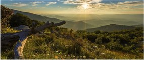 Obraz - Výhľad do okolia (120x50 cm)