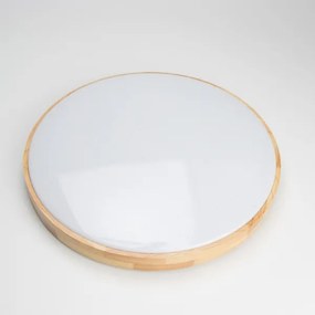 Brilagi - LED stlmiteľné stropné svietidlo PINE LED/60W/230V + diaľkové ovládanie