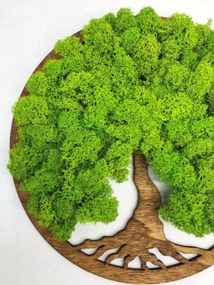 Strom na stenu z machu Daphne 20 cm