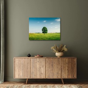 Obraz stromu na lúke (70x50 cm)