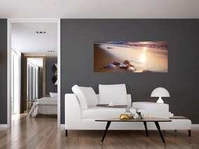 Obraz - Mušle (120x50 cm)