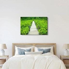 Obraz - drevený chodník (90x60 cm)