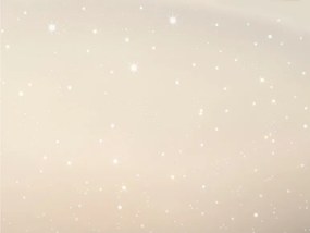 Livarno home Stropné LED svietidlo  (100360264)