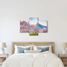 Obraz - Japonsko na jar (90x60 cm)