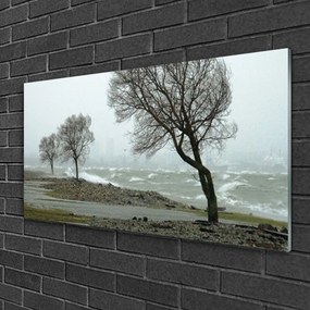 Skleneny obraz More búrka vlny 120x60 cm