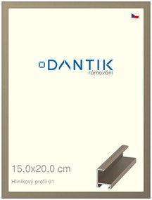 DANTIK rám na obraz 15x20 | ALU champagne (Sklo Čiré)
