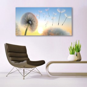 Obraz plexi Púpava kvety 120x60 cm