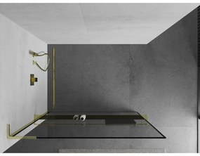 Mexen Kioto+ L, sprchová zástena Walk-In s poličkou a vešiakom 70 x 200 cm, 8mm číre sklo čierny vzor, zlatý lesklý profil,800-070-123-50-70