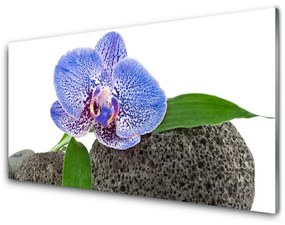 Obraz na skle Kvet rastlina príroda 100x50 cm