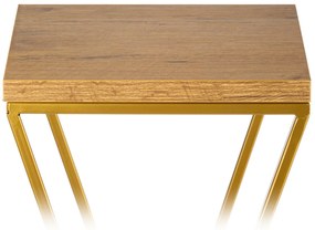 STOJAN NA KVETINÁČ LOFT6 70X24X24 CM ZLATÁ/HNEDÁ
