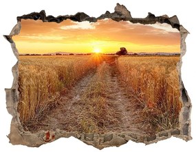Nálepka fototapeta 3D výhled Pšeničné pole nd-k-86490095