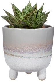 Sivý kvetináč Sass &amp; Belle Bohemian Home Mojave, ø 11,7 cm