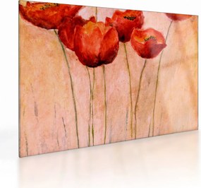 Sklenený obraz - Červené tulipány (70x50 cm)