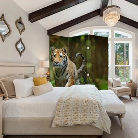 Paraván - Bežiaci tiger (126x170 cm)
