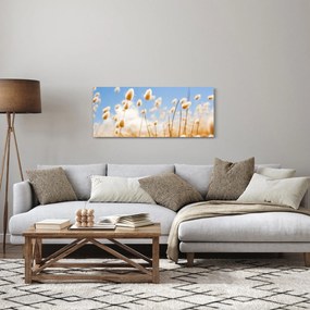 Obraz - Zlaté pole (120x50 cm)