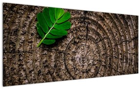 Obraz listu na kmeni stromu (120x50 cm)
