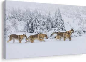Obraz - Vlci v horách (90x60 cm)
