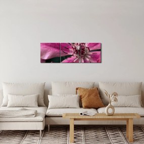 Obraz ružového kvetu plamienku (s hodinami) (90x30 cm)
