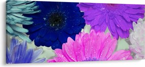 Obraz farebných kvetín (120x50 cm)