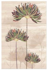Obklad Dekor Savoy flower top 90/60 3el.