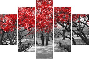 Obraz - Červené stromy, Central Park, New York (150x105 cm)