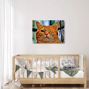 Sklenený obraz žmurkajúce mačky (70x50 cm)