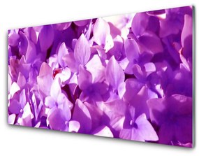 Obraz plexi Kvety rastlina príroda 100x50 cm