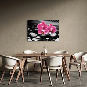 Obraz - Ružové orchidey (90x60 cm)