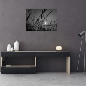 Sklenený obraz - Lúka so západom slnka (70x50 cm)