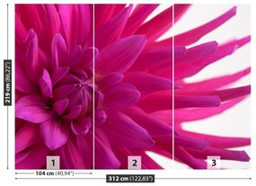 Fototapeta Vliesová Dahlia pink 208x146 cm