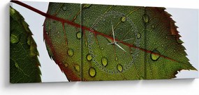 Obraz - List ruže (s hodinami) (90x30 cm)
