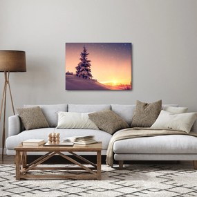 Obraz zasneženého stromu na lúke (70x50 cm)
