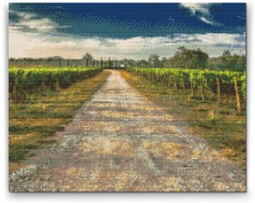 Gario Diamantové maľovanie Toskánske vinice Rozmery: 40 x 30 cm, Rámovanie: Iba zrolované plátno, Diamanty: Štvorcové