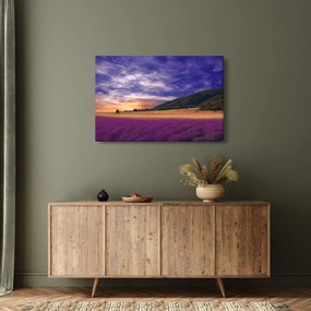 Obraz levanduľovej lúky (90x60 cm)