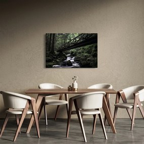 Obraz z čierneho lesa (90x60 cm)