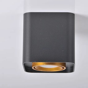 PLX Stropné reflektory SAN JOSÉ, 1xGU10, 50W, 10x10cm, štvorcové, čierno-zlaté