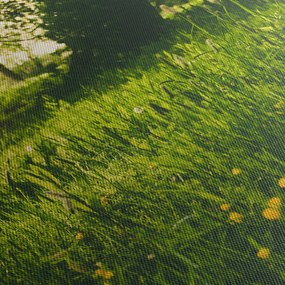 Obraz prírody - lúka (120x50 cm)