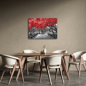 Obraz - Červené stromy, Central Park, New York (70x50 cm)