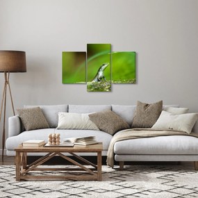 Obraz jašteričky (90x60 cm)