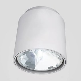 Moderné svietidlo RENDL EX Bodové svietidlo sivá R10162