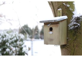 Drevená vtáčia búdka – Esschert Design