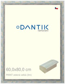 DANTIK rám na obraz 60x80 | PAINT zelená velká (Plexi Čiré)