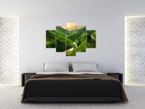 Obraz - Ryžové terasy Mu Cang Chai (150x105 cm)