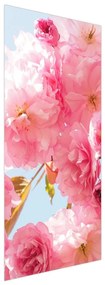 Fototapeta na dvere - Ružové kvety (95x205cm)