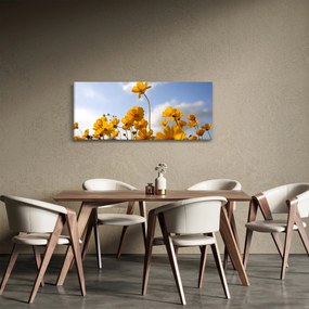 Obraz poľa s jasne žltými kvetmi (120x50 cm)